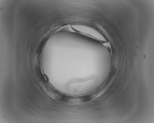 X0000080110213200701051338