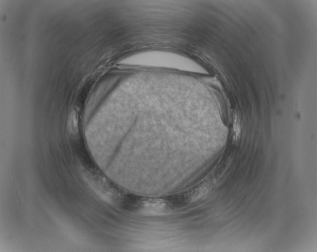 X0000080110214200701051338