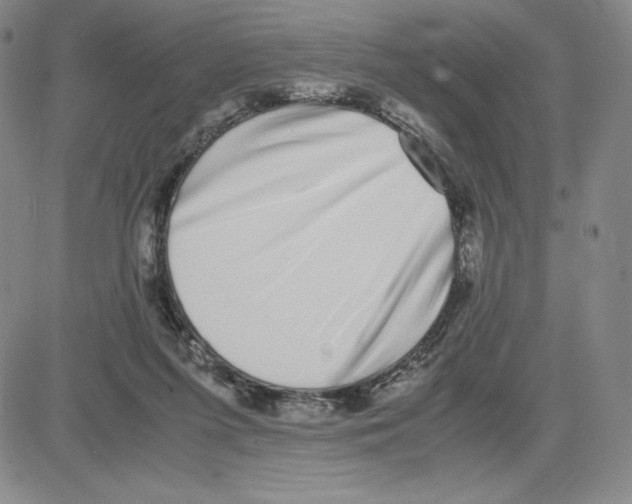 X0000080110215200701051338