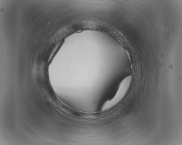 X0000080110217200701051337