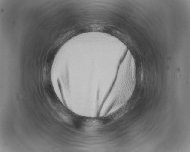 X0000080110218200701051337