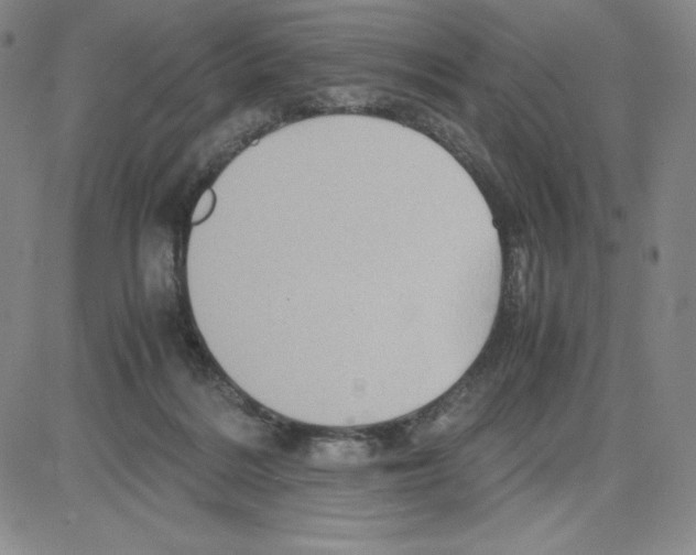 X0000080110220200701051337