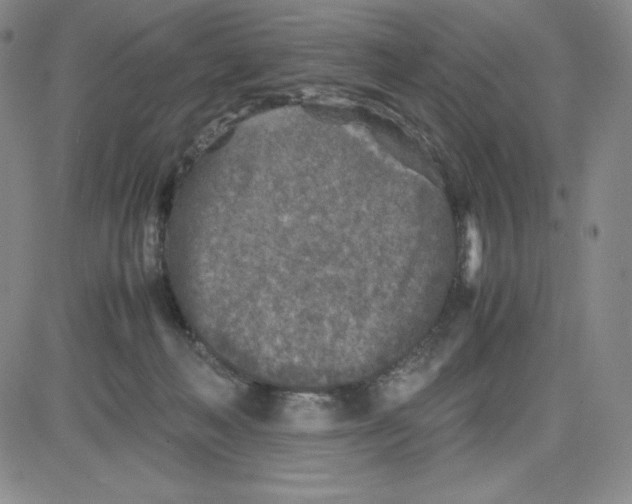 X0000080110222200701051337