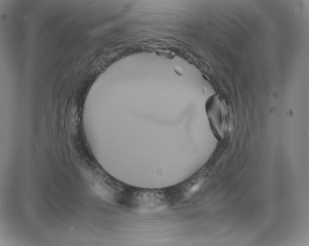 X0000080110223200701051337