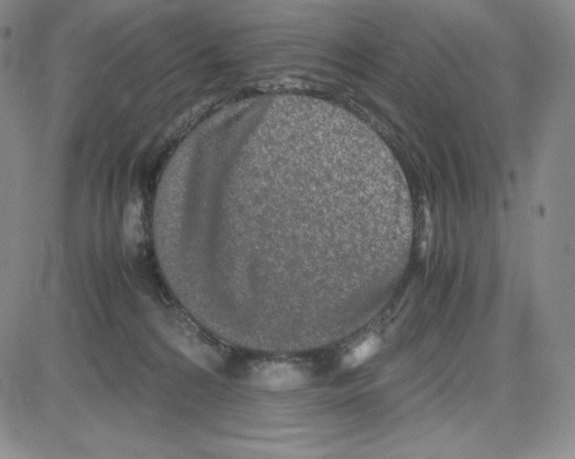 X0000080110224200701051337