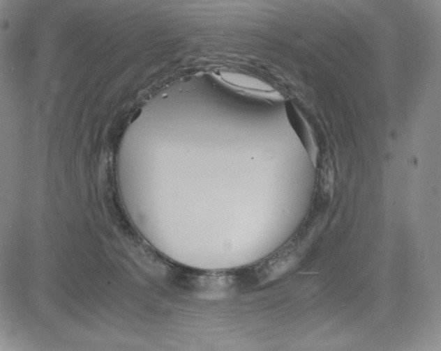 X0000080110225200701051337