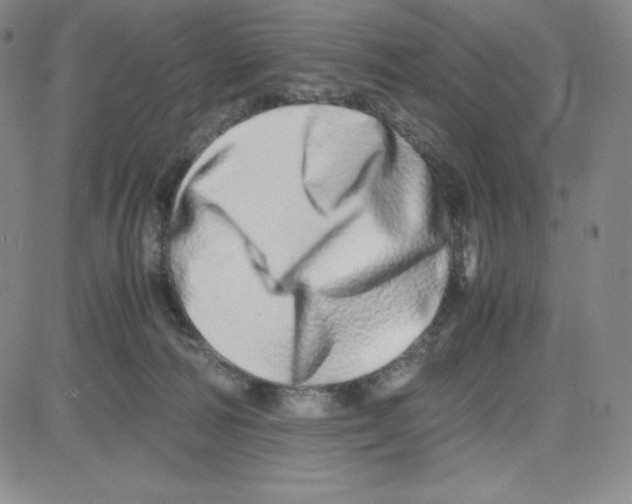 X0000080110226200701051337