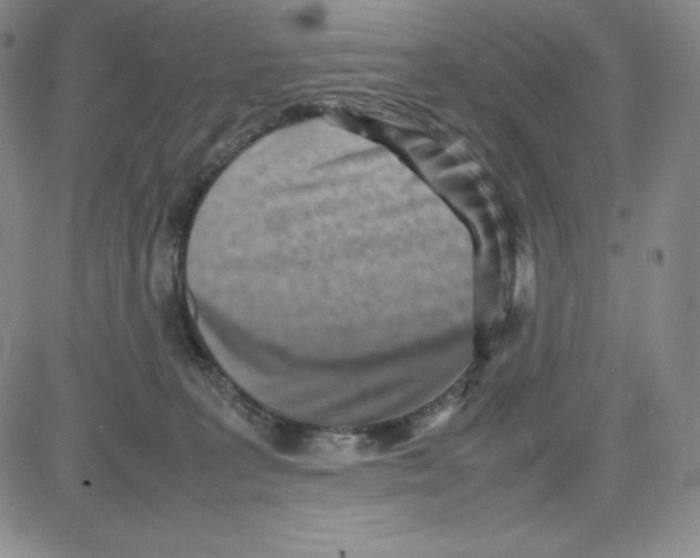 X0000080110227200701051337