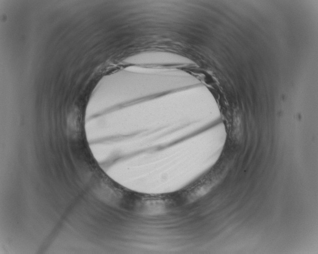 X0000080110228200701051337