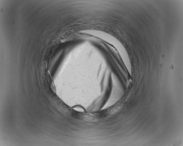 X0000080110229200701051337