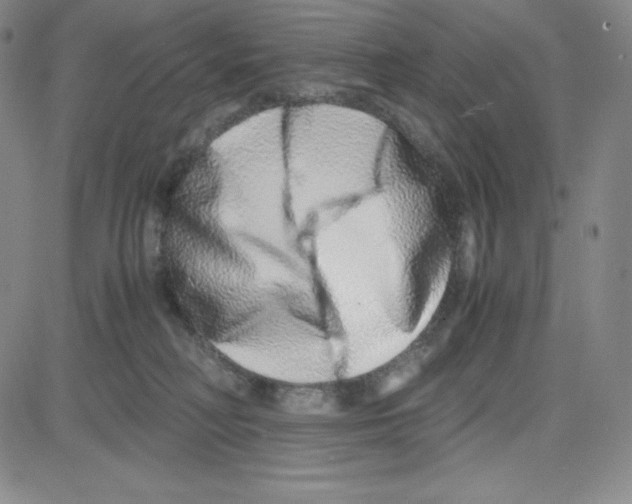 X0000080110230200701051337