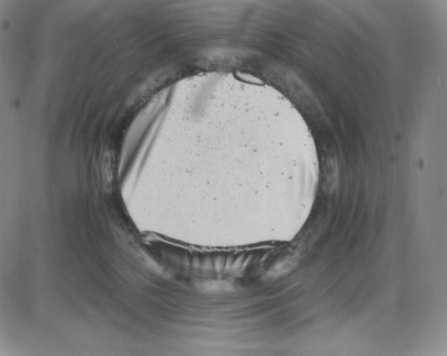 X0000080110232200701051337