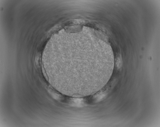 X0000080110233200701051337