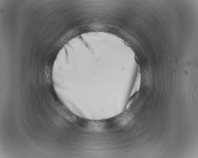 X0000080110234200701051337