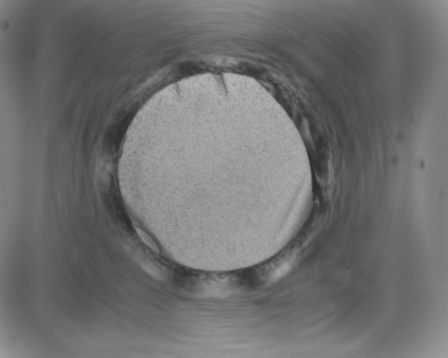 X0000080110235200701051337