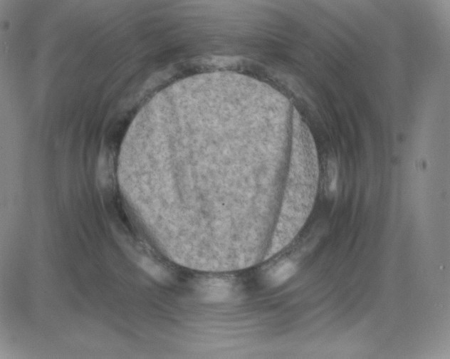 X0000080110236200701051337