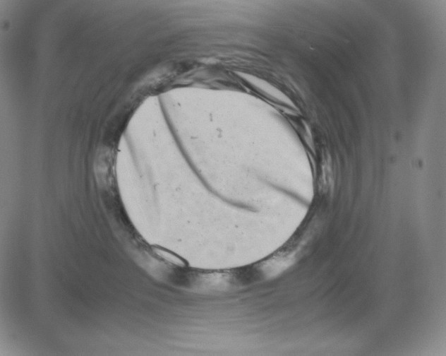 X0000080110237200701051337