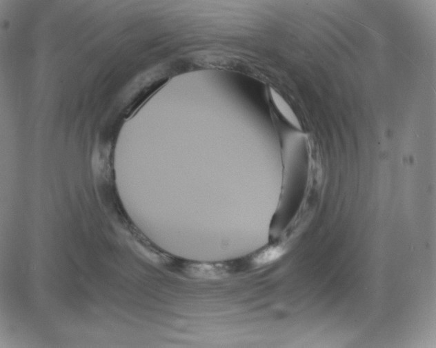 X0000080110239200701051337