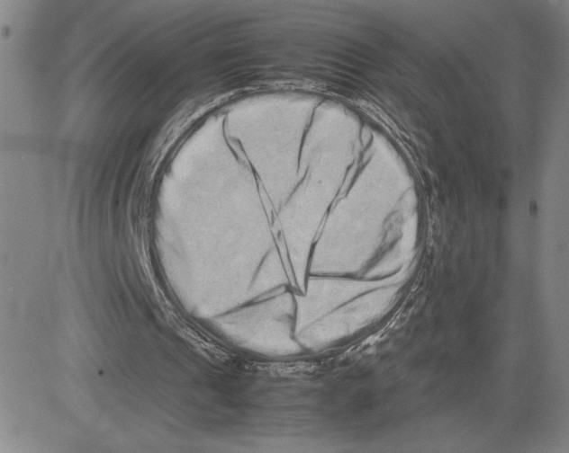 X0000080110241200701051336