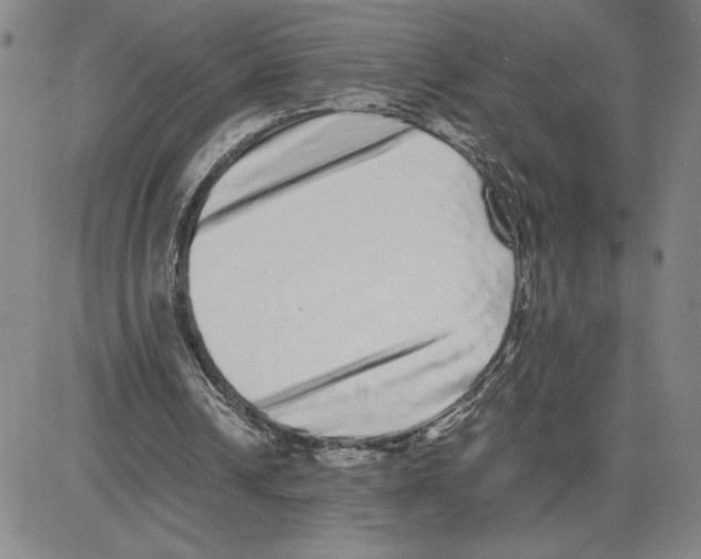 X0000080110242200701051336