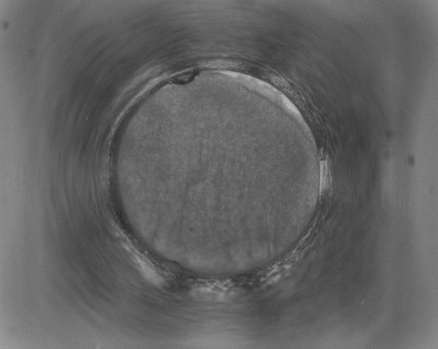 X0000080110243200701051336