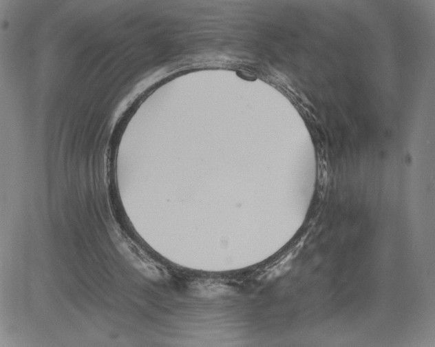 X0000080110244200701051336