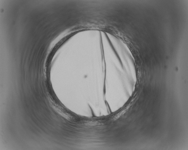 X0000080110246200701051336