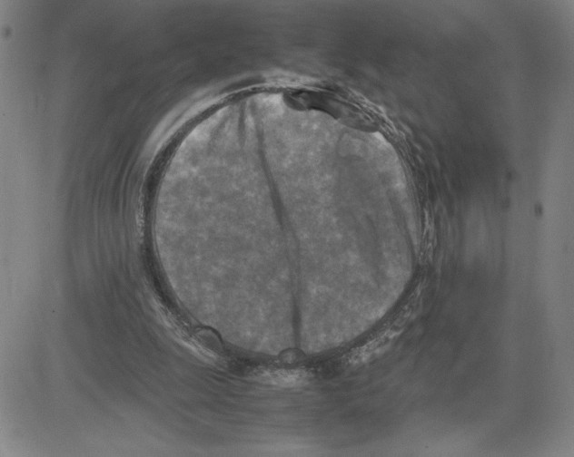 X0000080110247200701051336