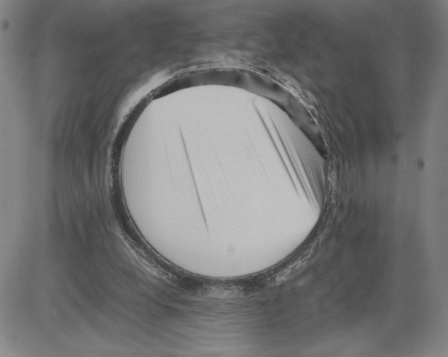 X0000080110248200701051336