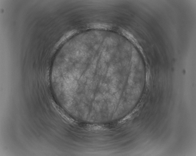 X0000080110249200701051336