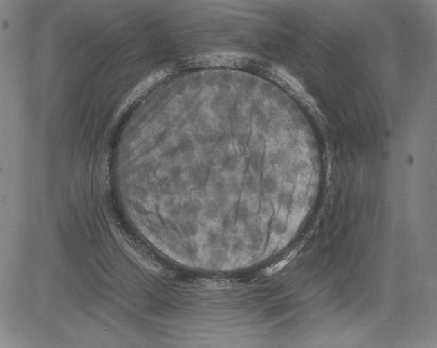 X0000080110250200701051336