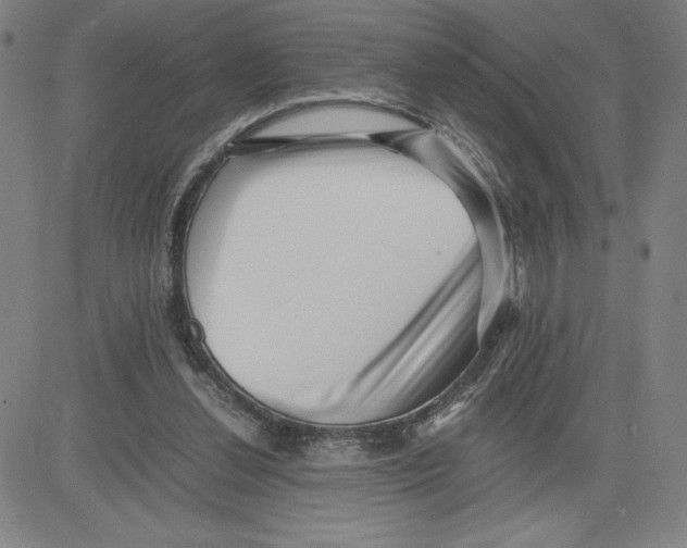 X0000080110252200701051337