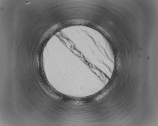 X0000080110254200701051337