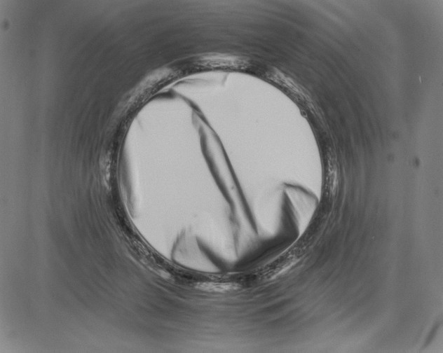 X0000080110255200701051337