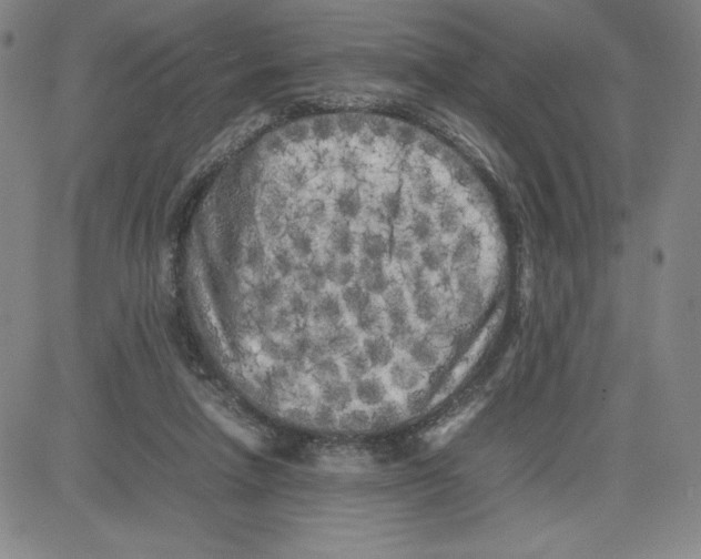 X0000080110258200701051337