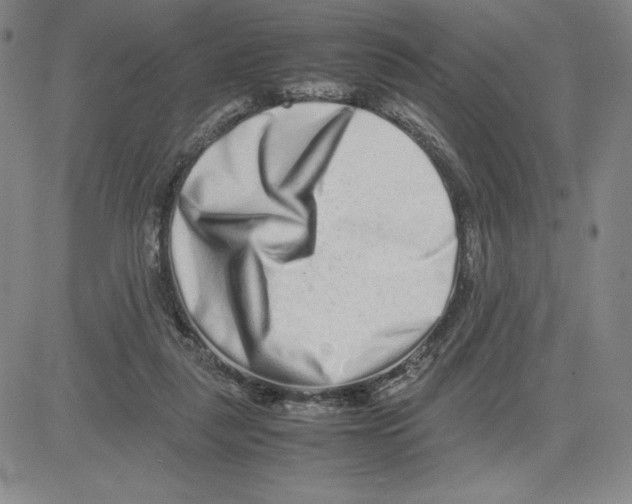 X0000080110259200701051337