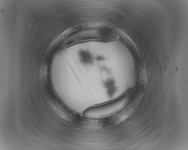 X0000080110260200701051337