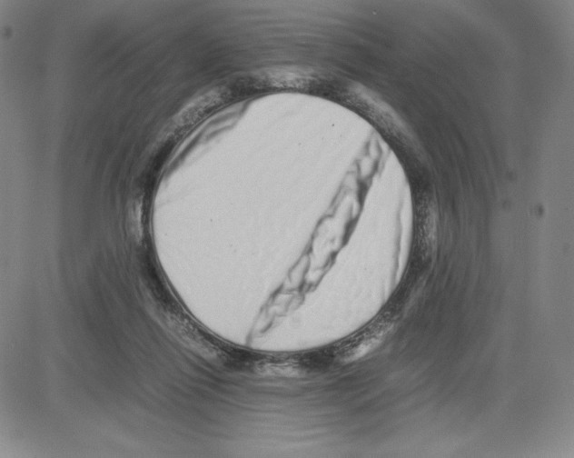 X0000080110262200701051337