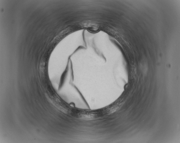 X0000080110263200701051337