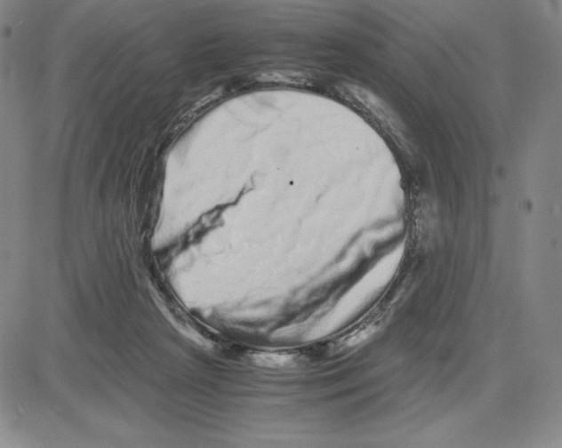 X0000080110265200701051337