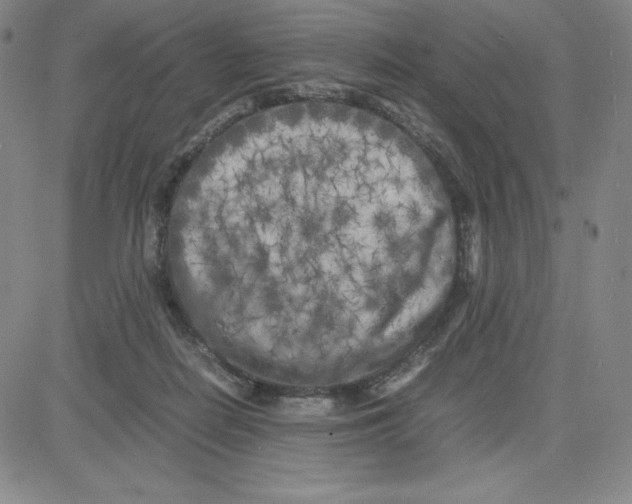 X0000080110266200701051337