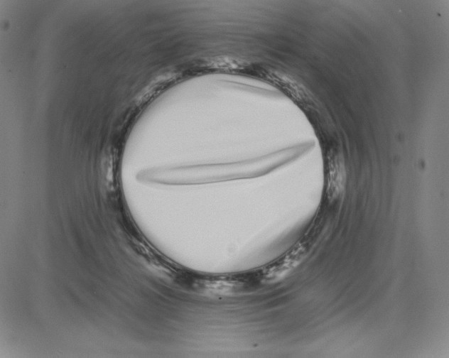 X0000080110268200701051337