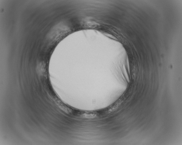 X0000080110270200701051337