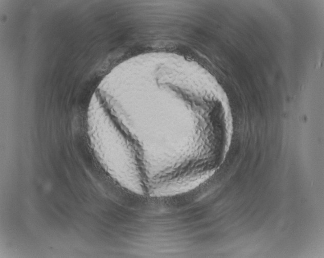 X0000080110272200701051337