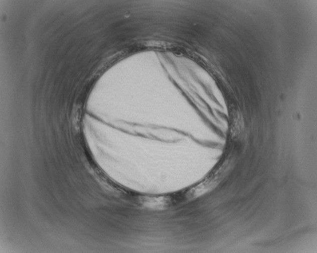 X0000080110273200701051337