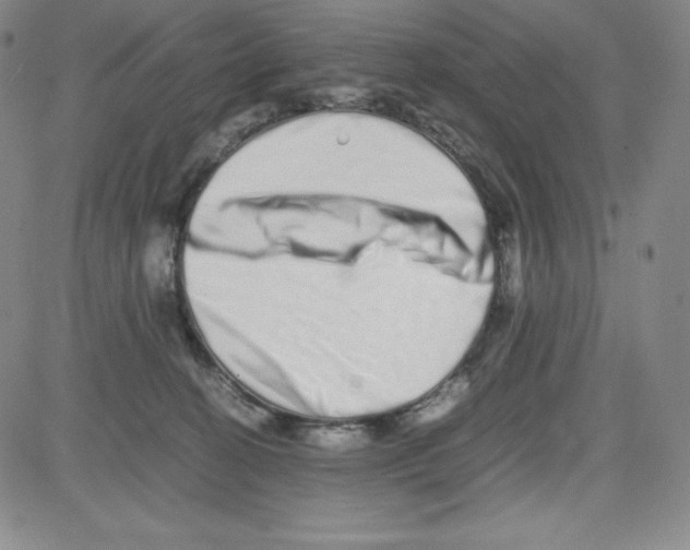 X0000080110274200701051337