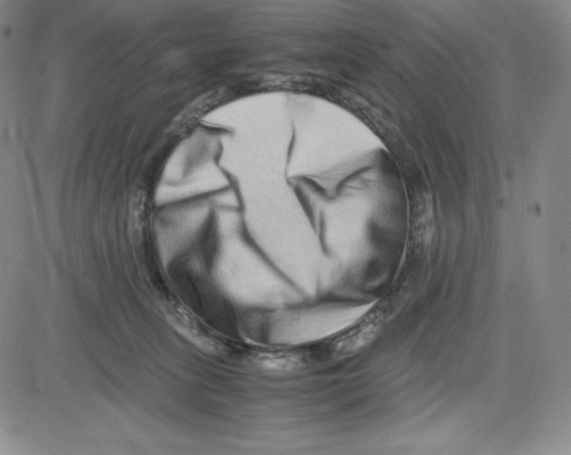 X0000080110275200701051337