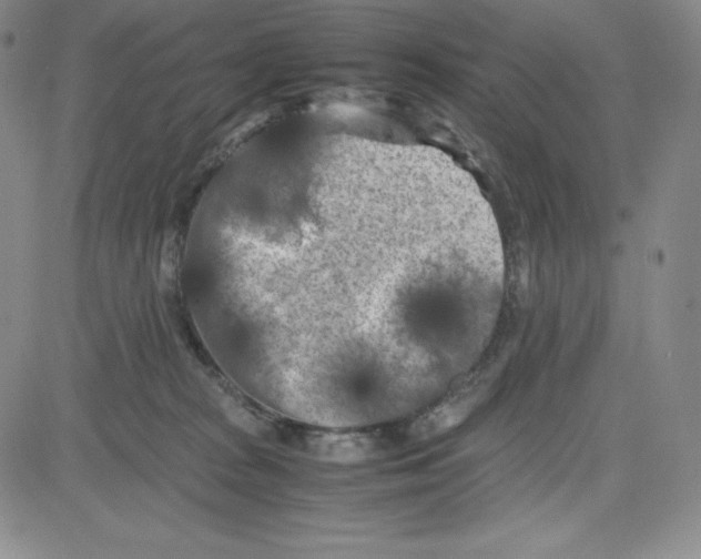 X0000080110277200701051337