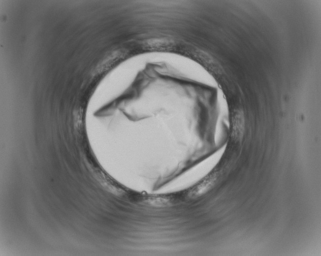 X0000080110278200701051337