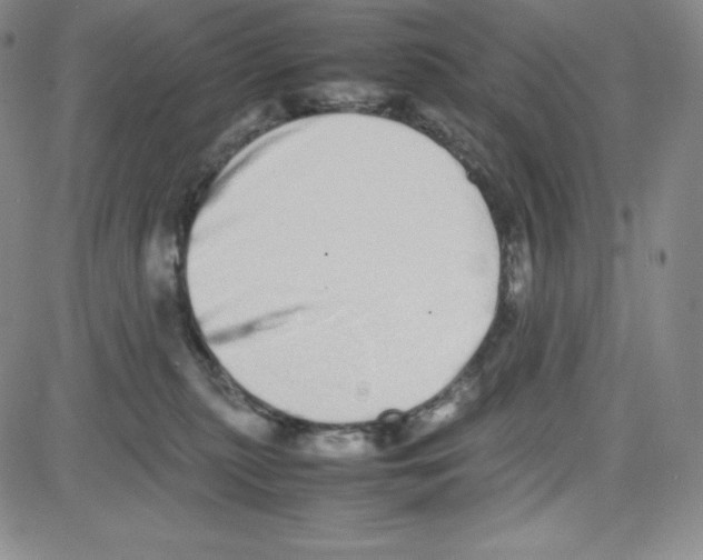 X0000080110279200701051337